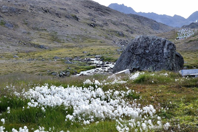 Duo du Grand Nord : le Groenland & l'Islande