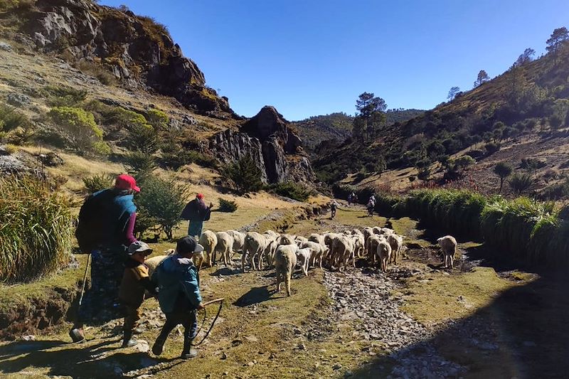 Sierra de los Cuchumatanes - Guatemala