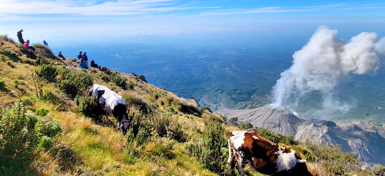 Image Volcans, Altiplano & Jungle
