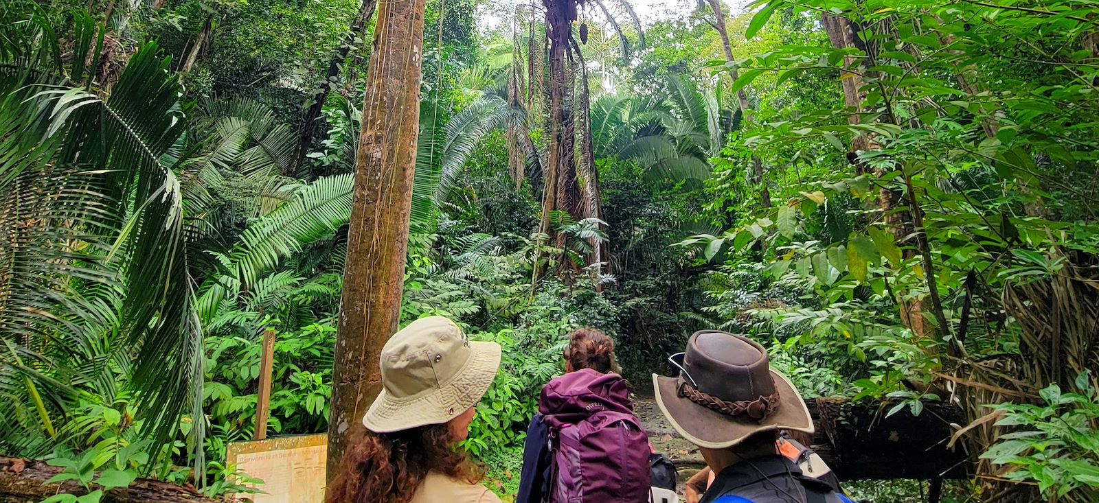 Image Volcans, Altiplano & Jungle