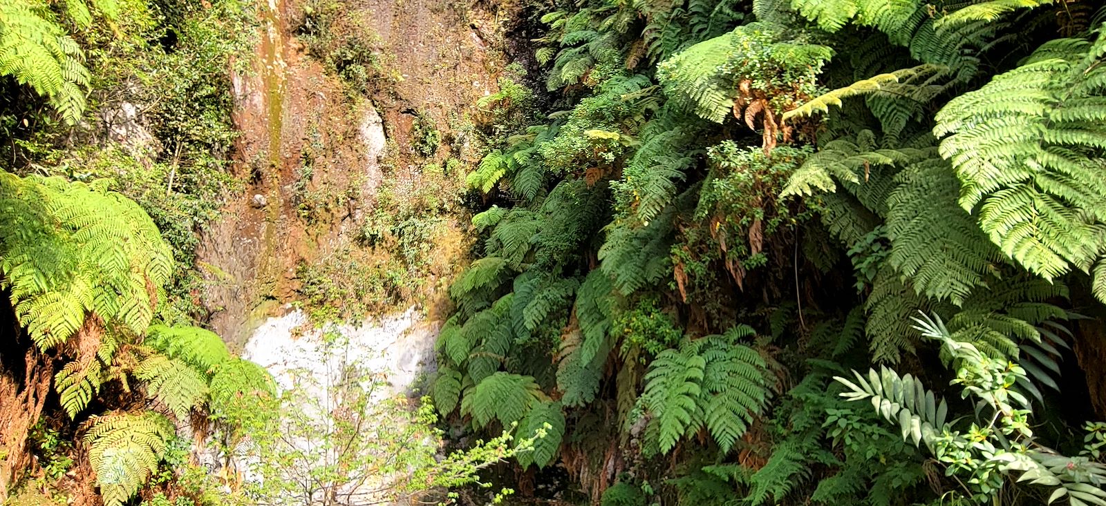 Image Volcans, Altiplano & Jungle