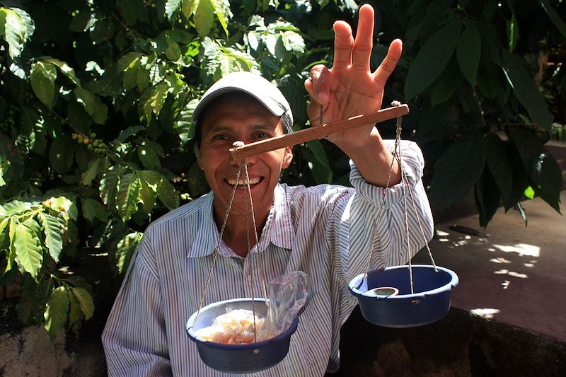 Café Cristalinas - San Pedro - Guatemala&nbsp;©&nbsp;Mathilde Salmon