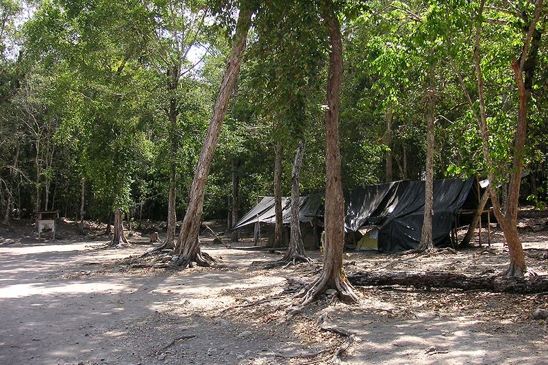 El Mirador - Département du Petén - Guatemala