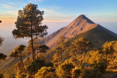 Volcans & Altiplano