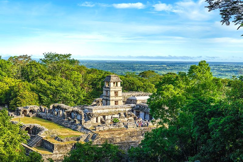 Parc National de Palenque - Chiapas - Mexique