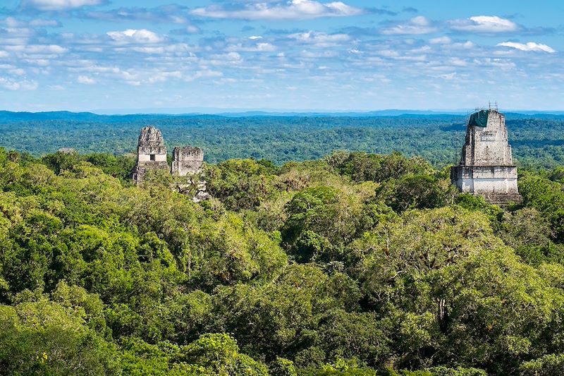 Vue depuis le sommet du Temple IV - Parc National de Tikal - Guatemala