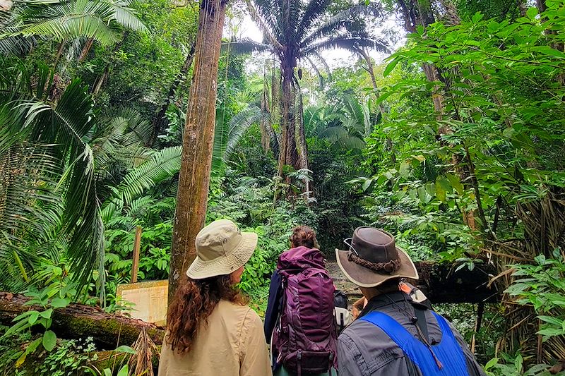 Randonnée vers Aguateca - Département du Petén - Guatemala