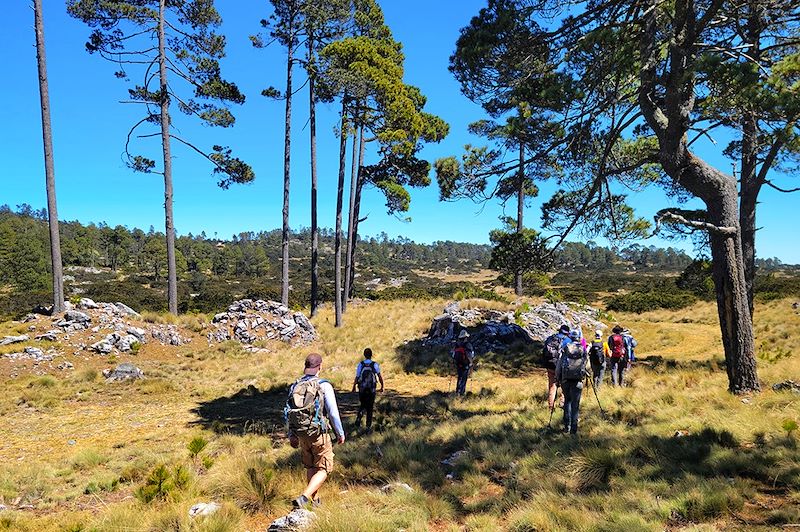 Randonnée dans le Parc national des Cuchumatanes - Guatemala