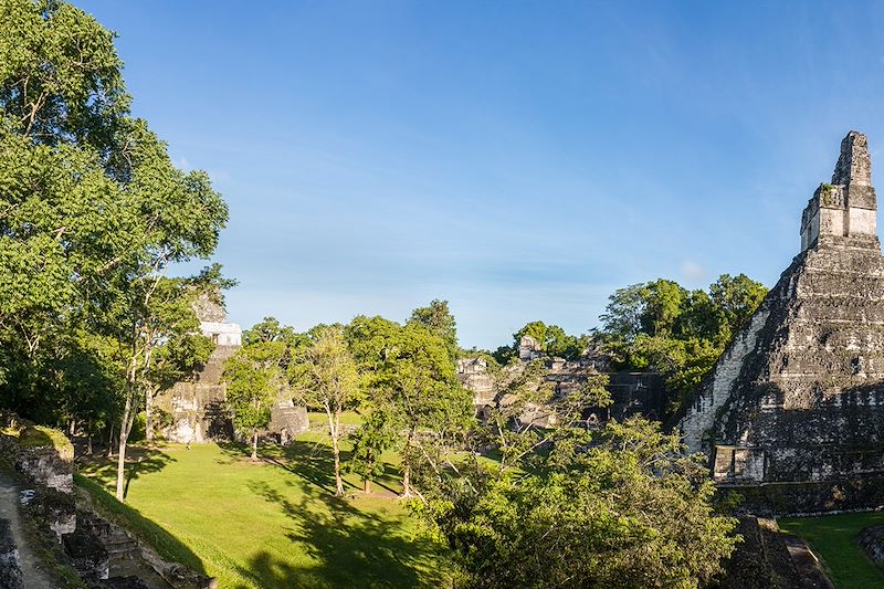 Pyramides mayas dans la jungle de Tikal - Guatemala