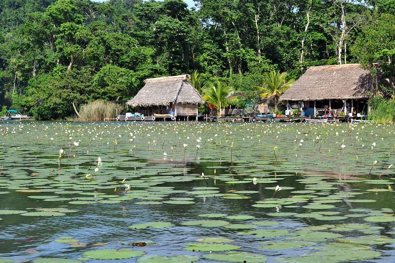 Canon del Rio - Rio Dulce - Izabal - Guatemala