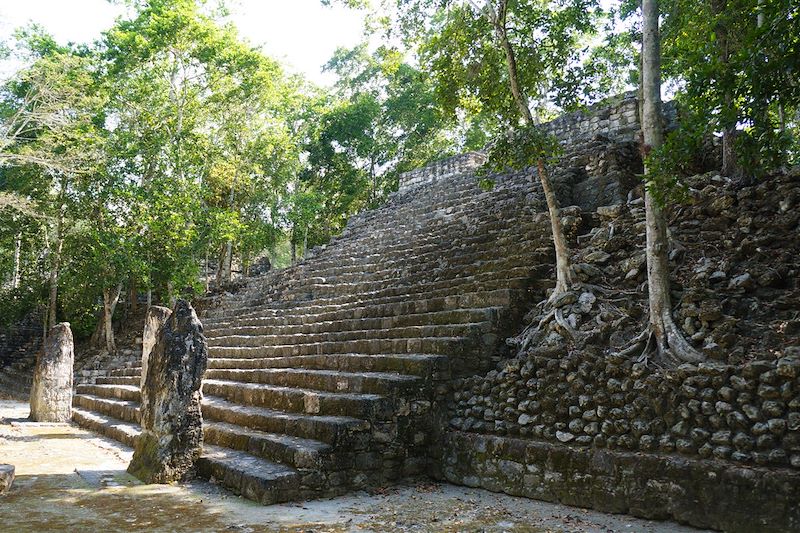 Site archéologique Maya Calakmul - Réserve Naturelle de la Biosphère - Mexique