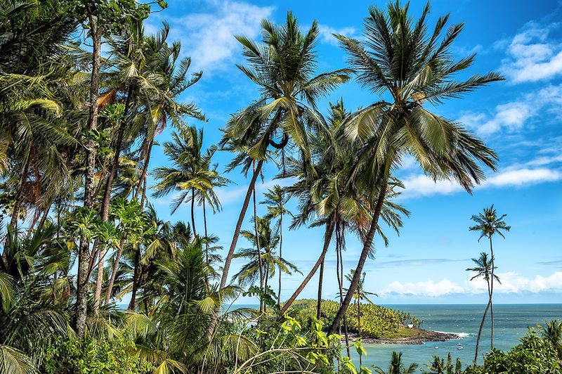 Îles du Salut - Guyane