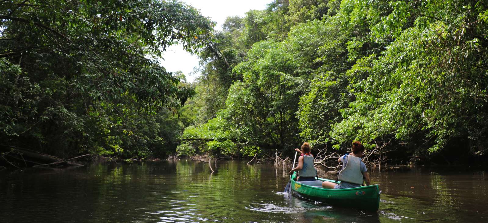 Voyage à pied Guyane : Le livre de la jungle... Voyage à pied Guyane : Le livre de la jungle...