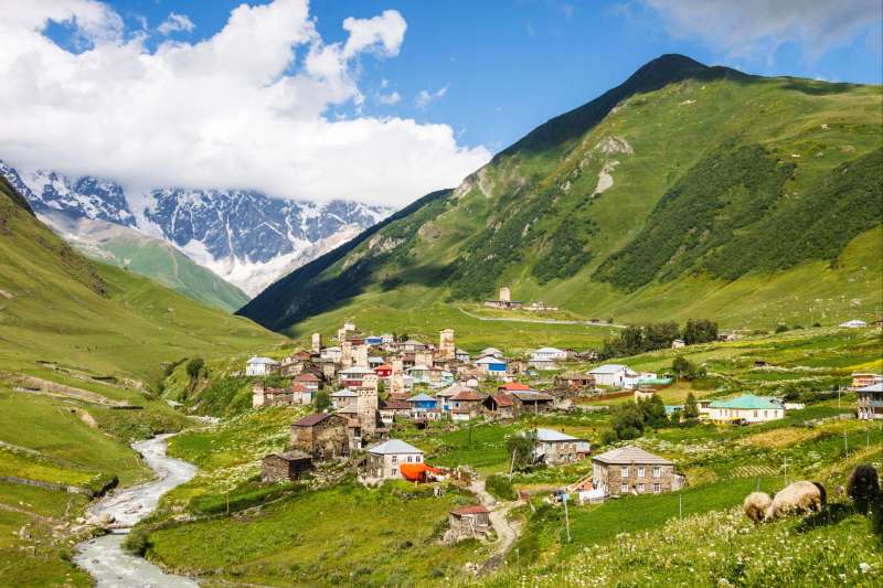 Paradis vert et blanc du Caucase