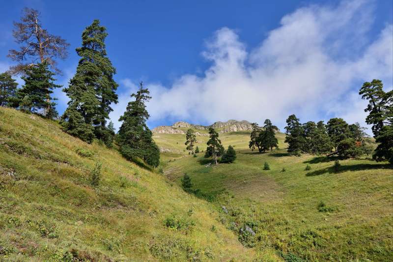 Parc national de Bordjomi-Kharagaouli - Géorgie
