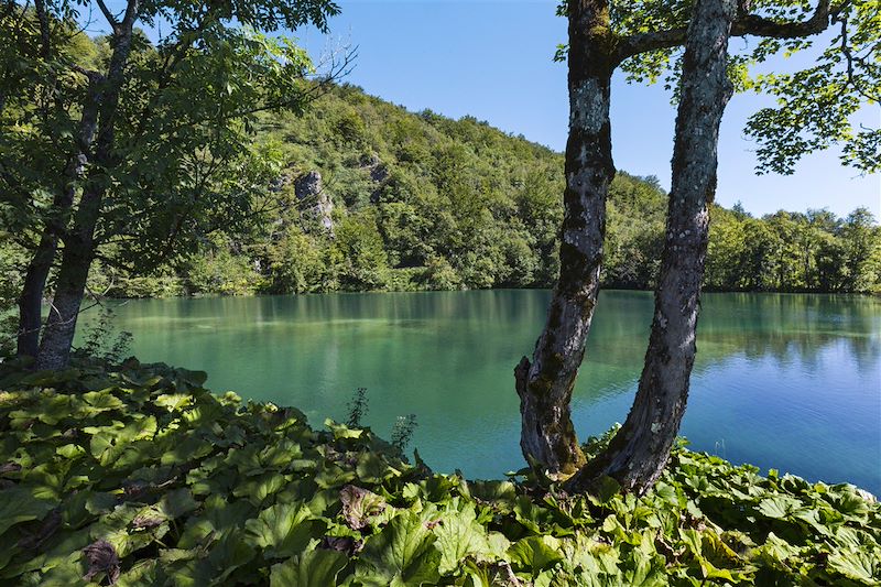 Découverte des parcs nationaux (A/R en train)