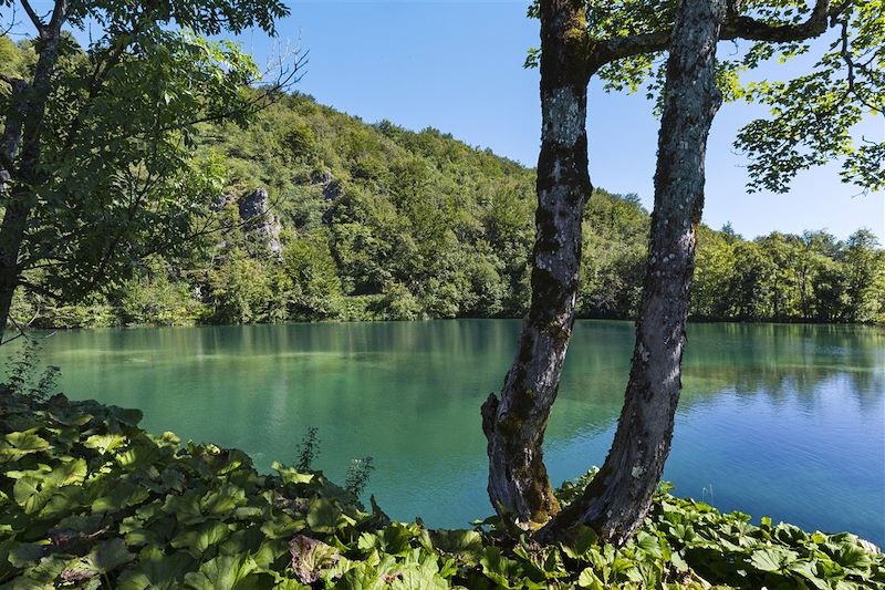 Parc national des lacs de Plitvice - 