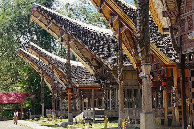 En pays Toraja - Île de Sulawesi - Indonésie 