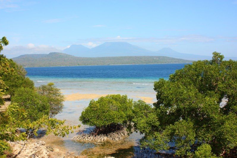 Bali, comme une étoile … de mer