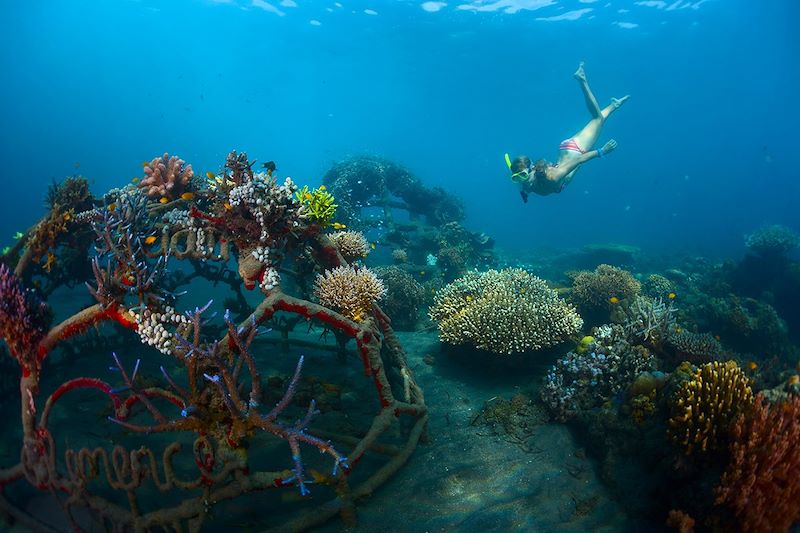 Bali, comme une étoile … de mer