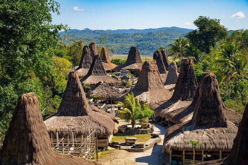 Kampung Praijing - Île de Sumba - Indonésie