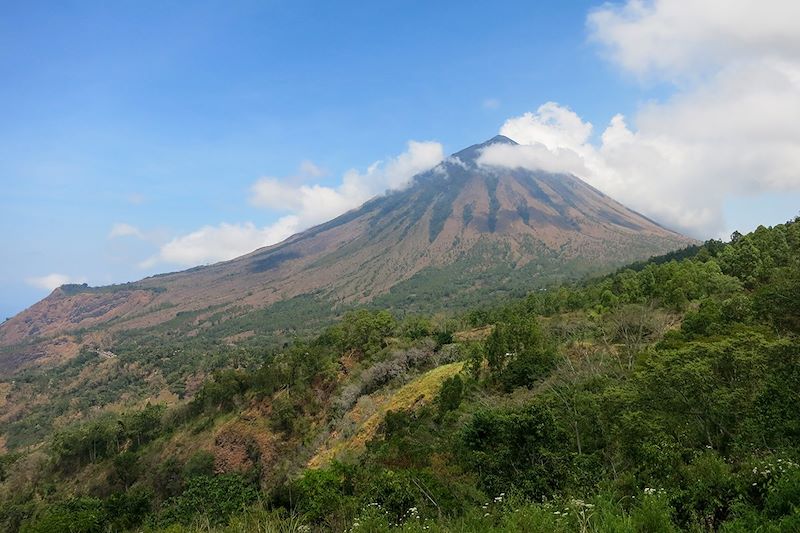 Vue sur la montagne Inérie - Bajawa - Indonésie