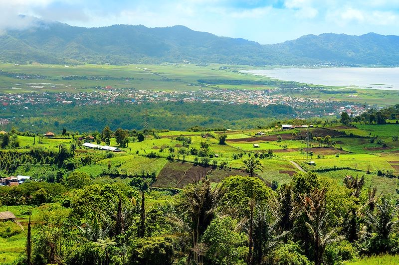 Autour de Tomohon - Sulawesi du Nord - Indonésie