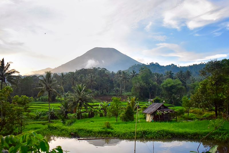 Voyage Nord Sulawesi, recifs de Lembeh, volcan Lokon, Vie locale à Tomohon, jungle et faune à Tangkoko, parc marin Bunaken