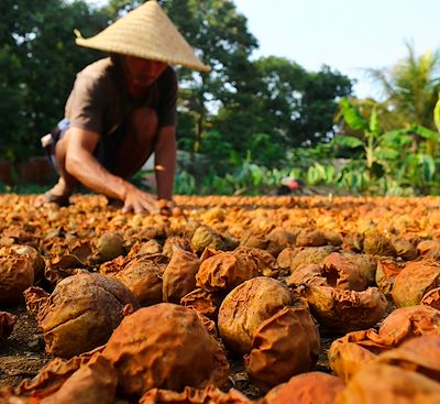 Voyages sur mesure Indonésie