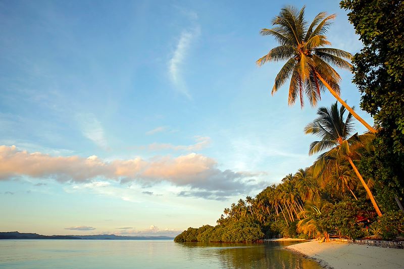 Île de Mansuar - Archipel de Raja Ampat - Papouasie occidentale - Indonésie