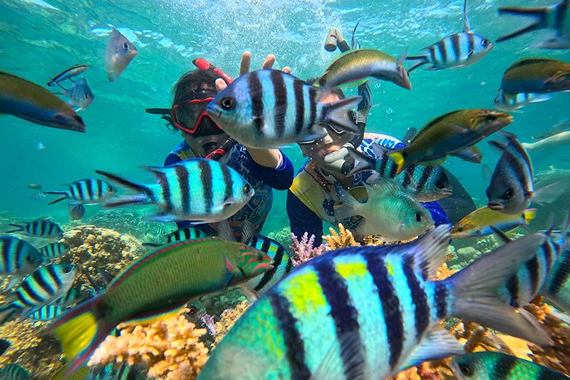 Snorkeling - Archipel de Karimunjawa - Île de Java - Indonésie