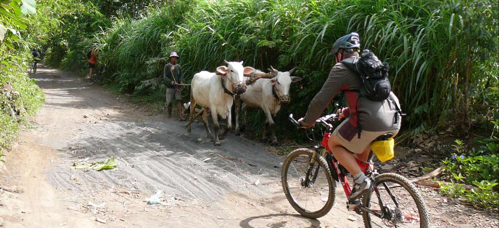 Voyage à vélo - Bali, les 2 mains sur le guidon