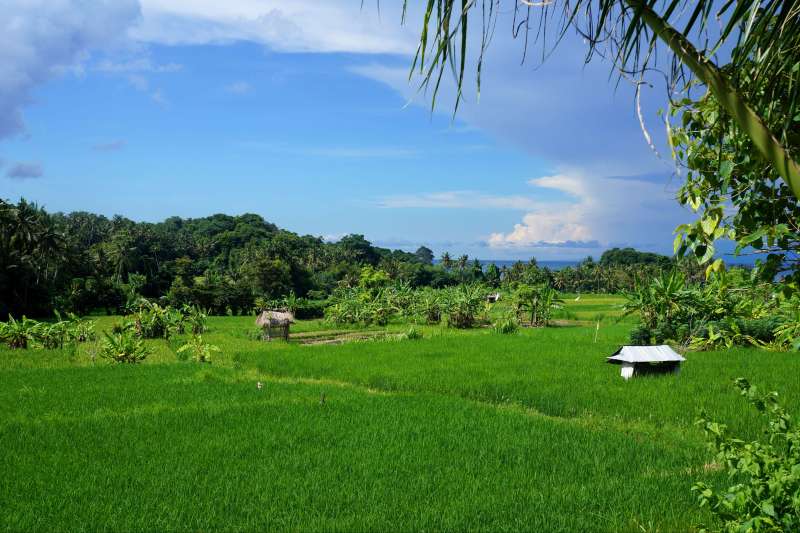 Tirtaganga - Bali - Indonésie