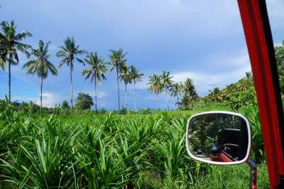 voyage Bali, Beach, Bebek & Java
