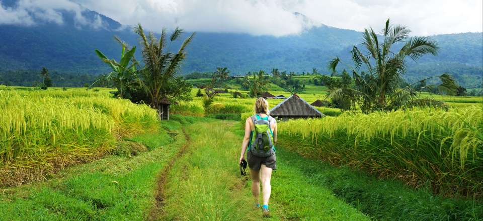 Trek à Bali  :10 jours de marche hors sentiers battus entre mer et rizières, en autonomie avec GPS! Une aventure unique.