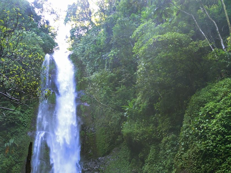 Cascade à Munduk - Kabupaten de Buleleng - Bali - Province de Bali - Indonésie