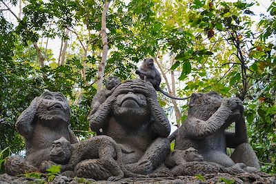 La Java à Bali 4