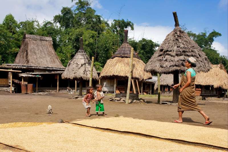 Village ngada de la région de Bajawa - Île de Florès - Indonésie