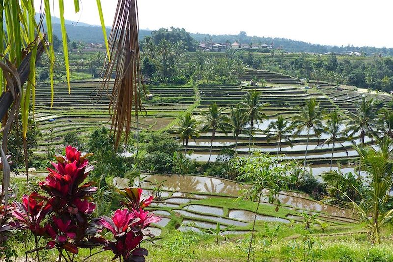 Bali en famille 