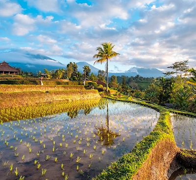 Voyages en famille Bali