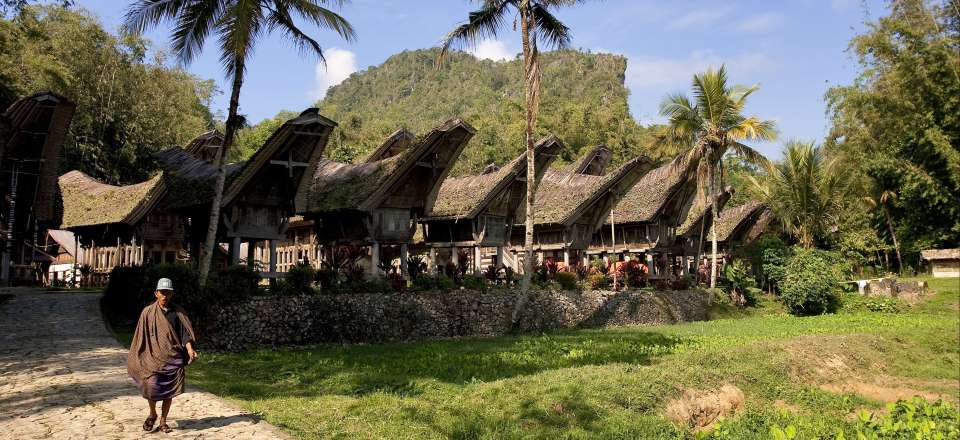 Partez avec votre guide anglophone à la découverte des traditions Toraja: trekking et rencontres puis repos sur l'île de Bunaken
