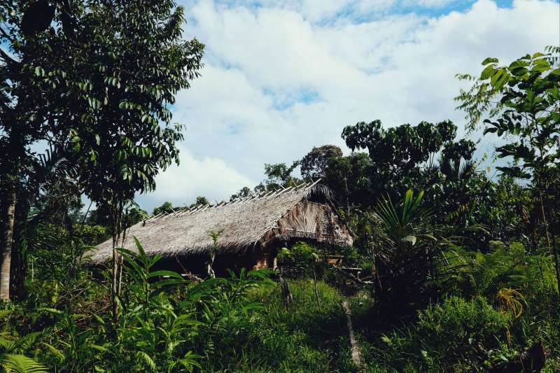 Expédition en terre Mentawaï