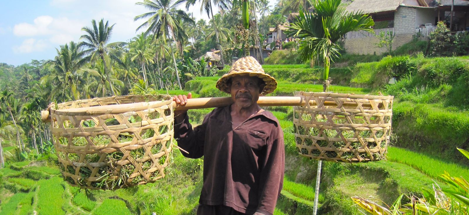 Image Rizières et volcans de Bali