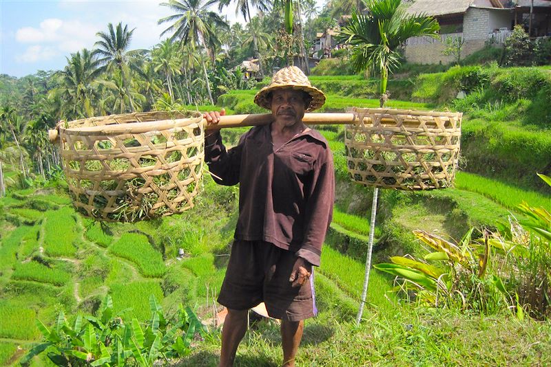 Dans les environs d'Ubud - Bali - Indonésie