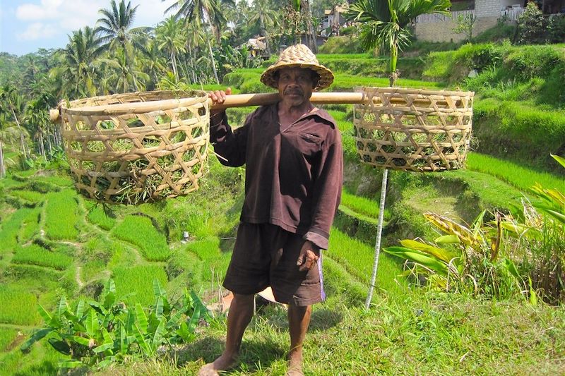 Dans les environs d'Ubud - Bali - Indonésie