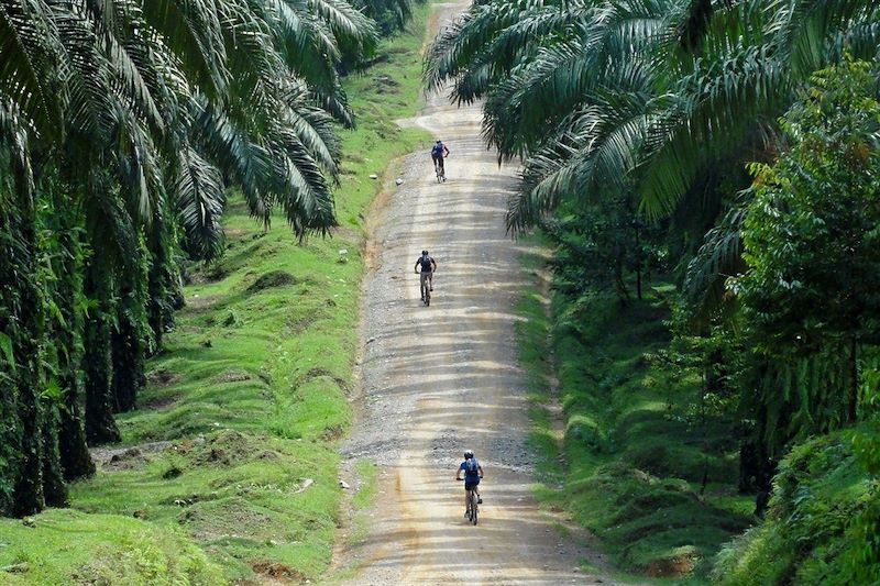 Randonnée en VTT autour du Lac Toba - Île de Sumatra - Indonésie