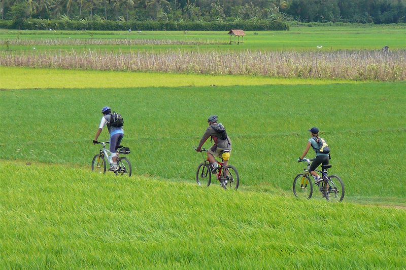 Randonée en VTT à Bali - Indonésie