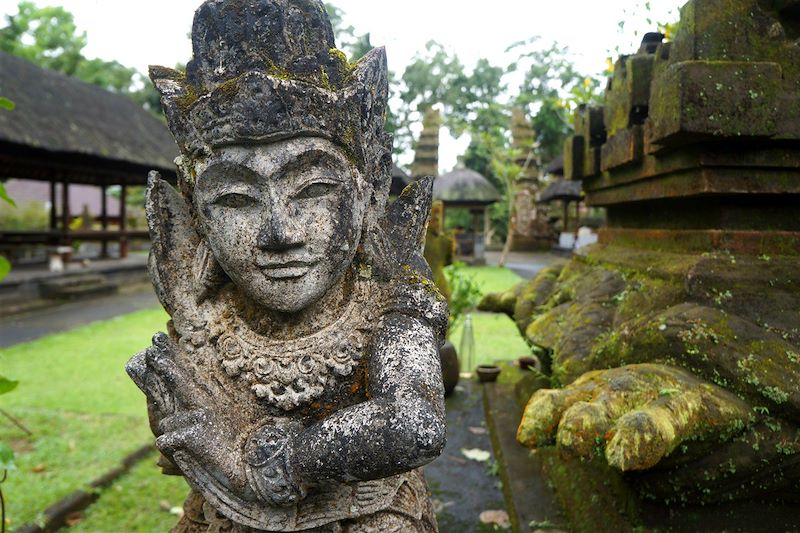 Bali, les 2 mains sur le guidon