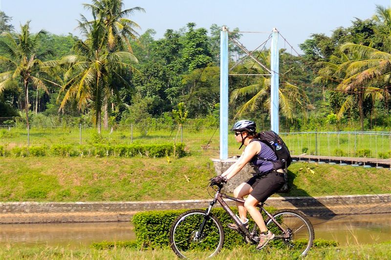 Bali, les 2 mains sur le guidon