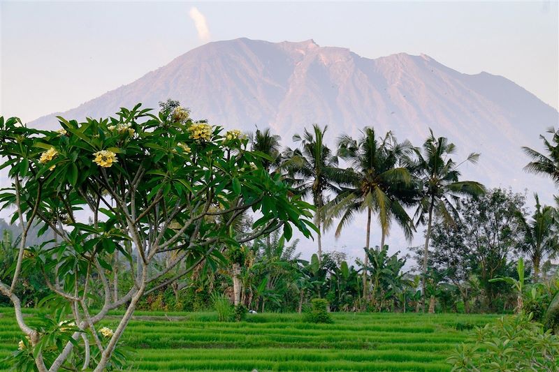 Sidemen - Bali - Indonésie - Asie du Sud-Est